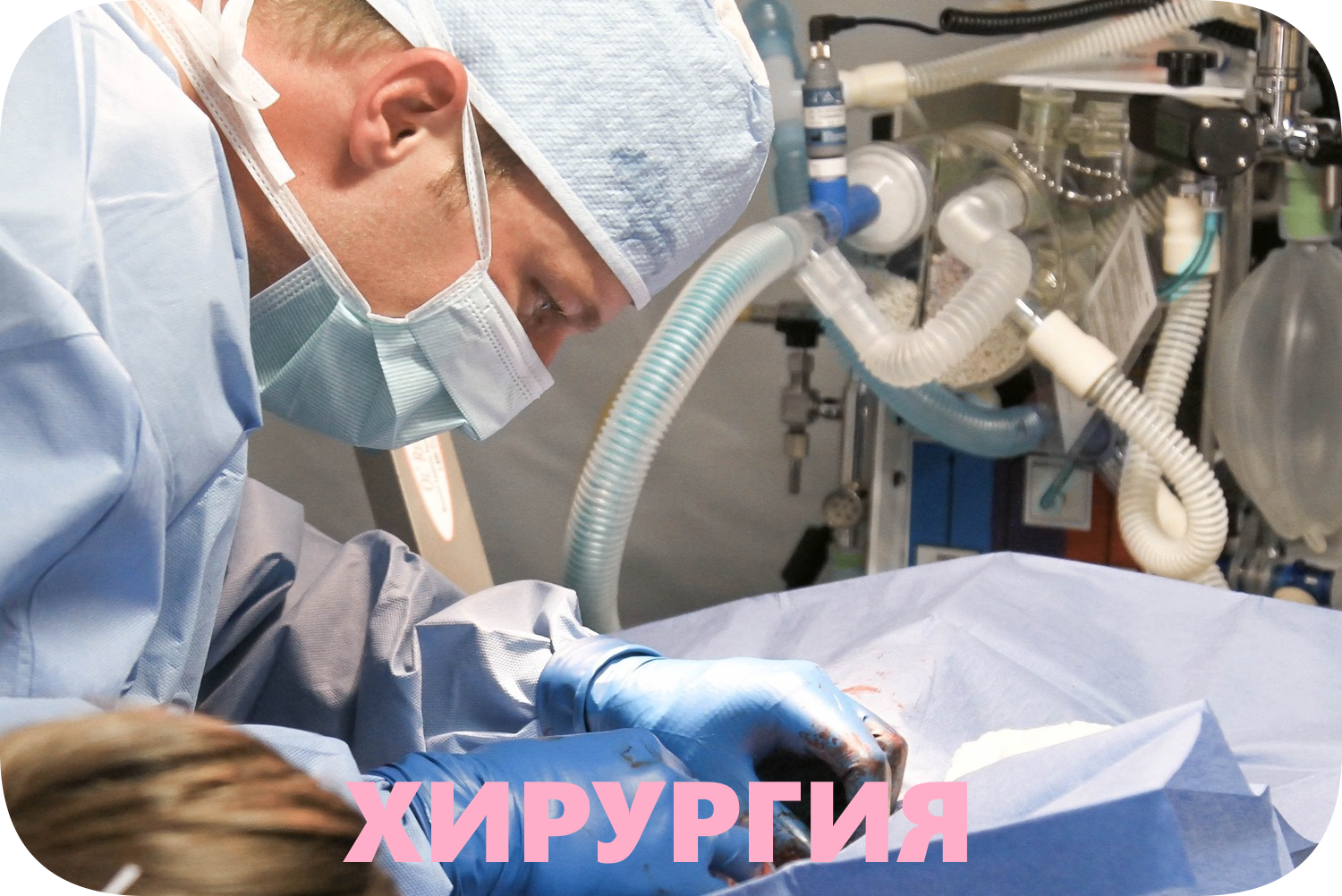 icon - /uploads/s/w/v/q/wvq4mr1rclnh/img/full_757rEGnM.png