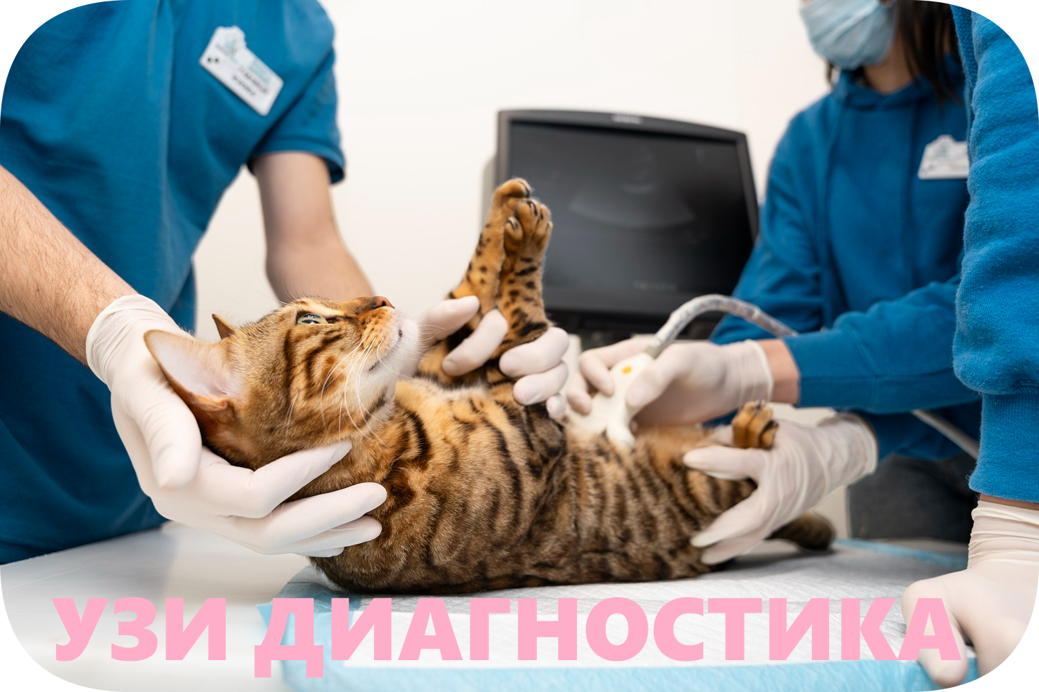 icon - /uploads/s/w/v/q/wvq4mr1rclnh/img/full_866LeW2d.png