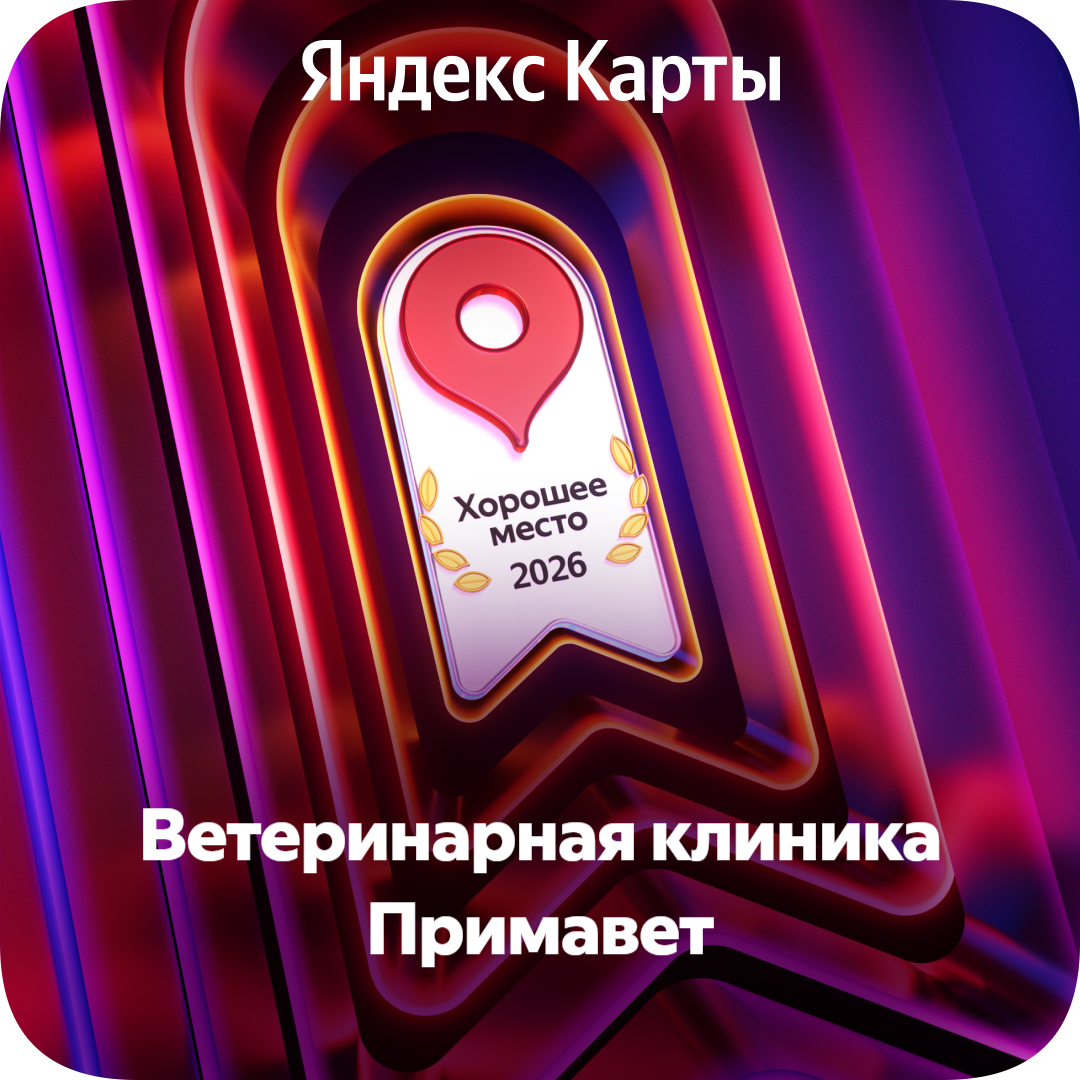 icon - /uploads/s/w/v/q/wvq4mr1rclnh/img/full_CwDRPhgg.png