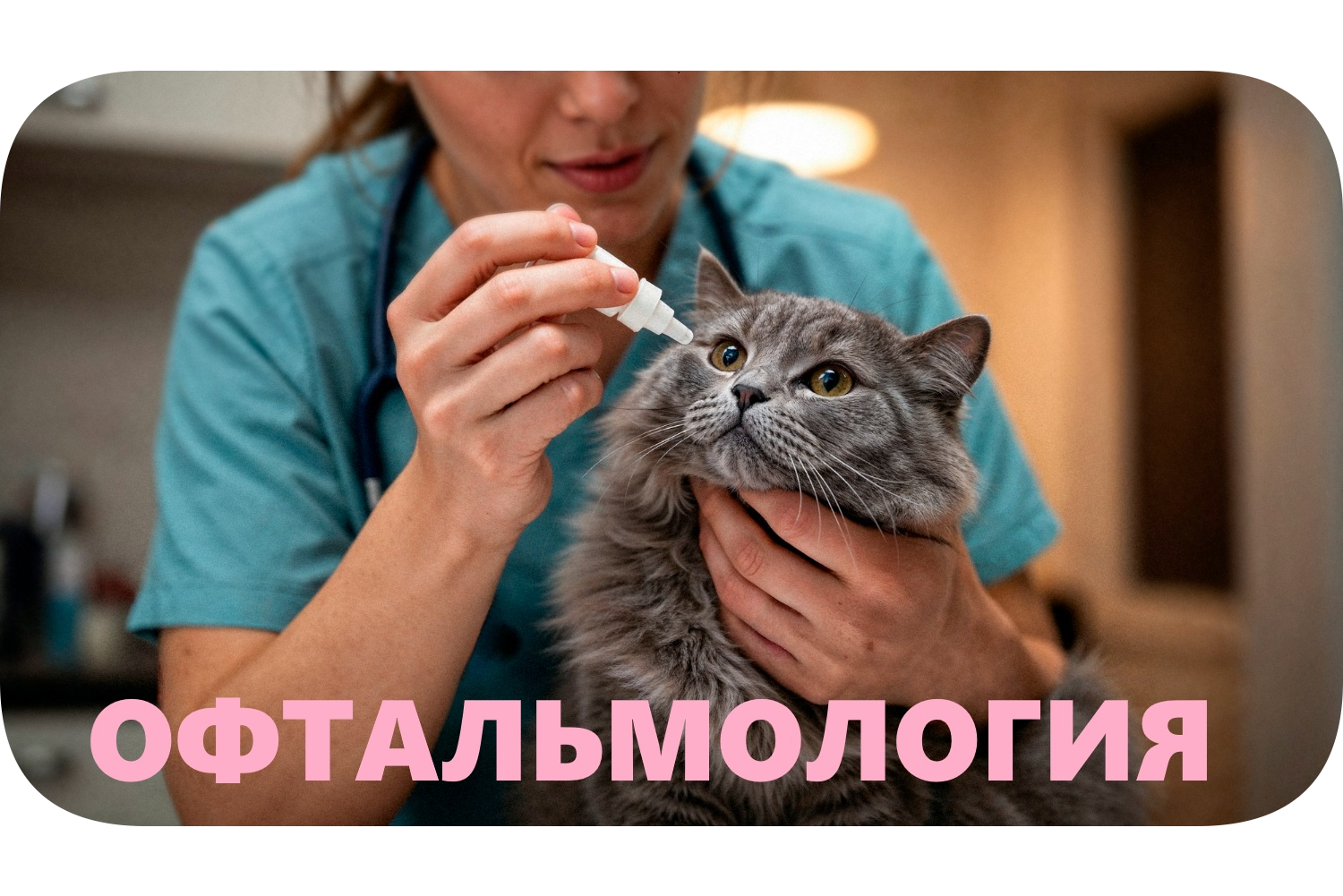 icon - /uploads/s/w/v/q/wvq4mr1rclnh/img/full_D9XStqE8.png