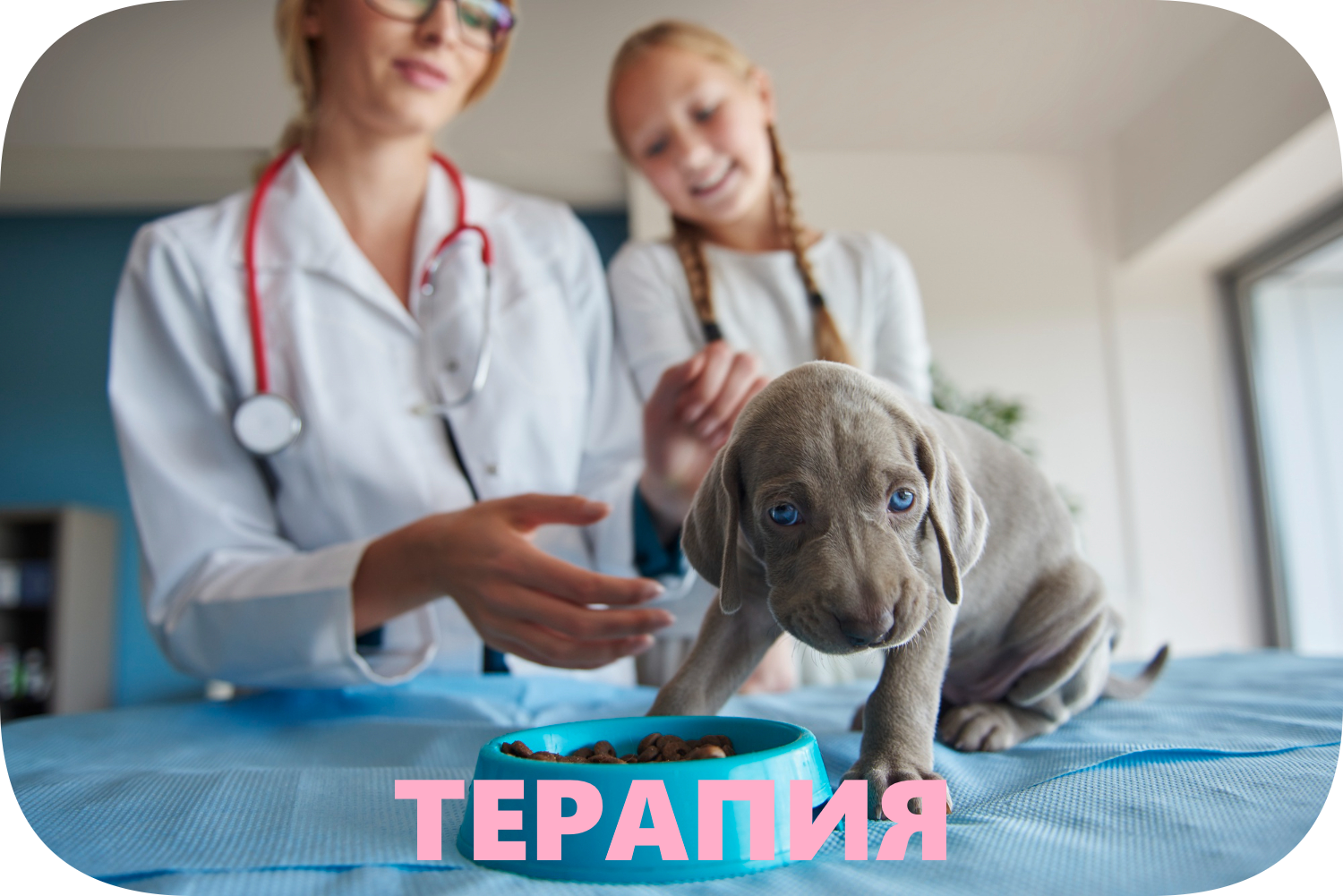 icon - /uploads/s/w/v/q/wvq4mr1rclnh/img/full_oNfJacKf.png